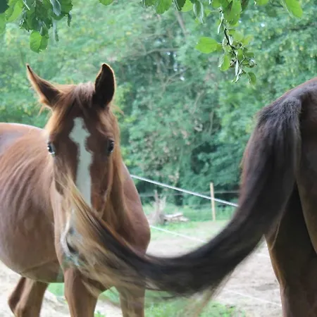 شقة Ostsee Am Schlosspark Ofc