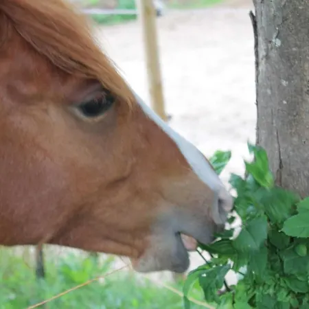 شقة Ostsee Am Schlosspark Ofc *